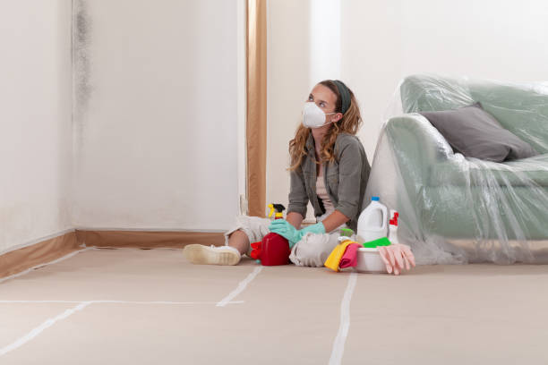 Reliable Mold Remediation contractor in Caldwell, NJ by Cheap Mold Removal